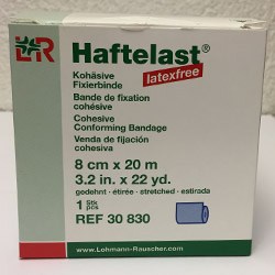 Haftelast